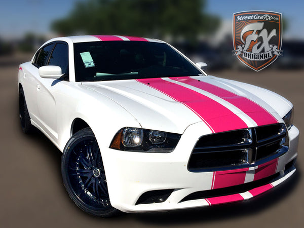 White dodge deals charger with stripes